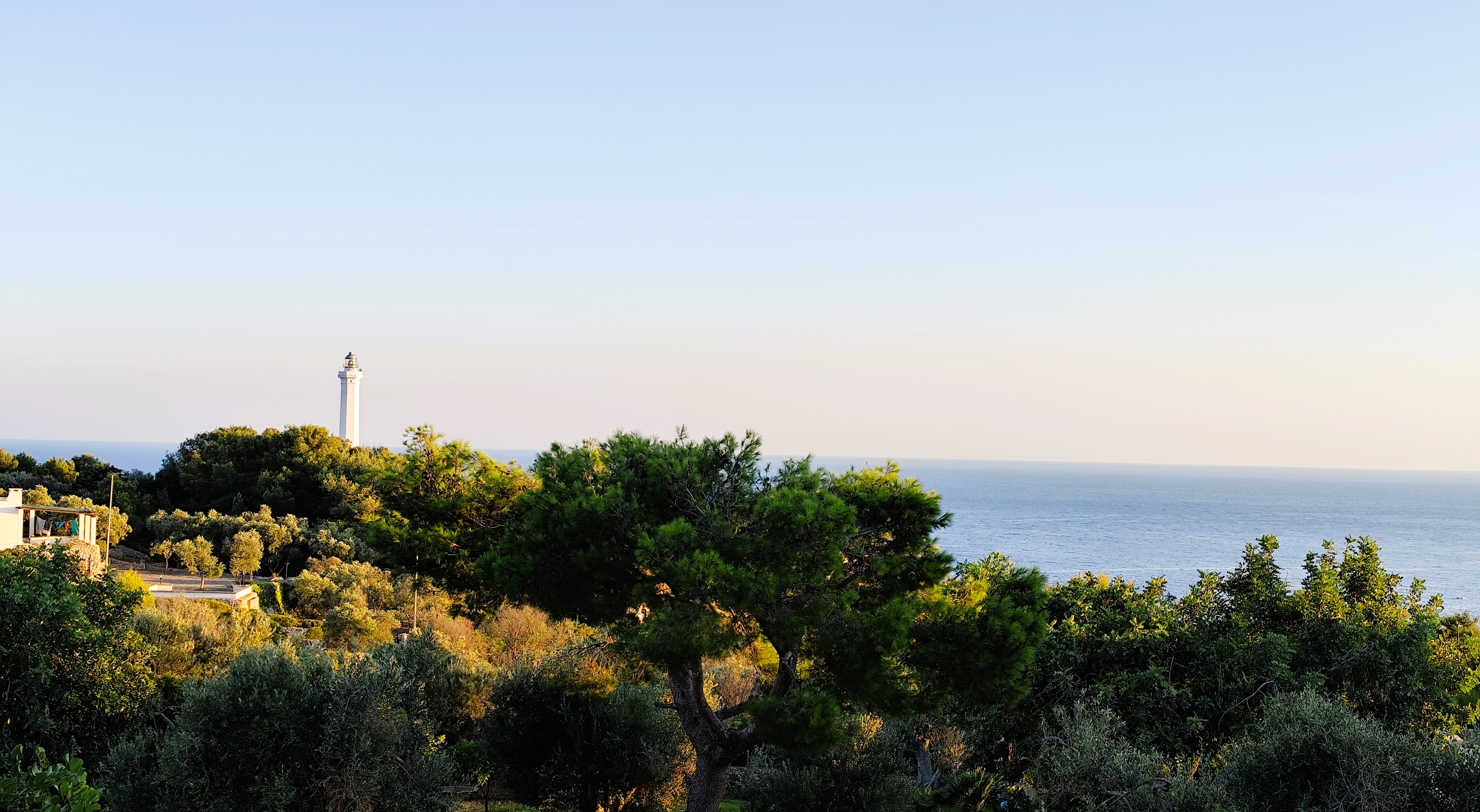 Leuca