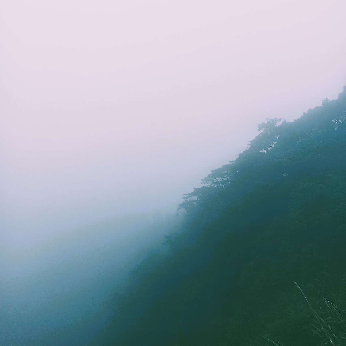 Mist