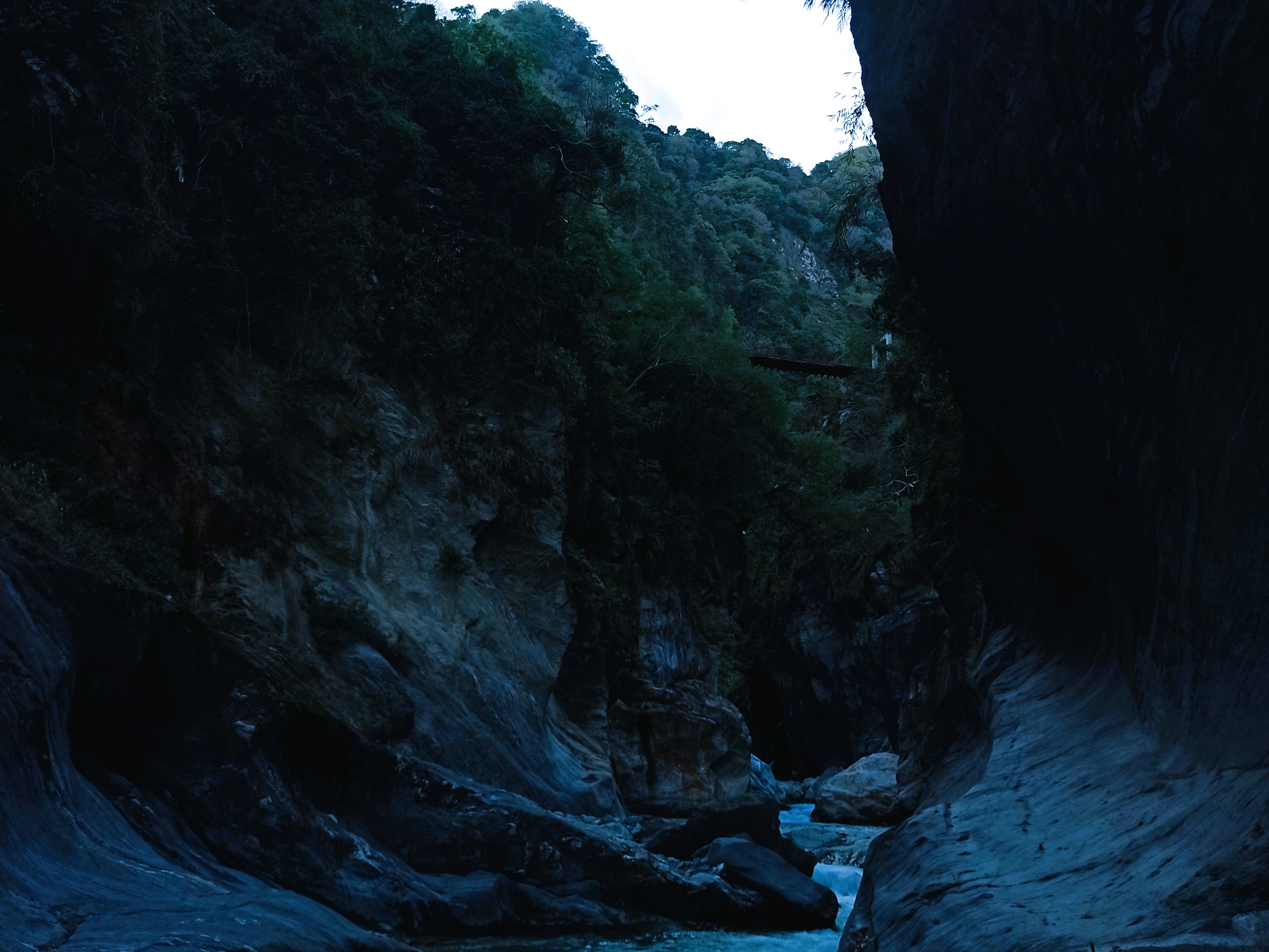 Taroko