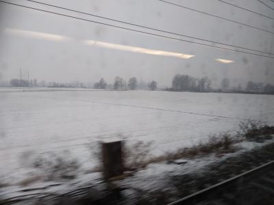 IMG_20190130_094610.jpg