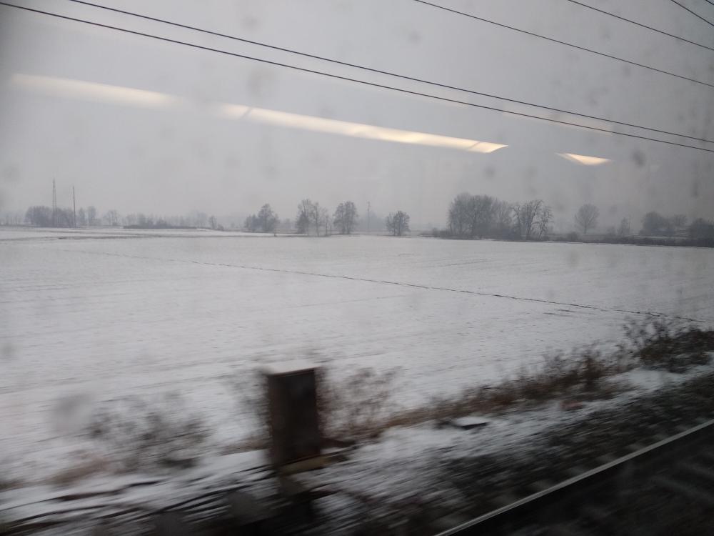 IMG_20190130_094610.jpg