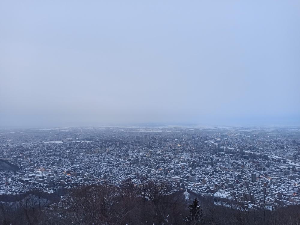 IMG_20210128_164444.jpg