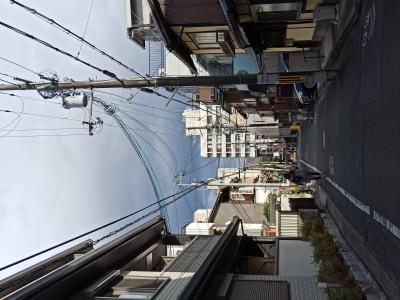 IMG_20210208_143334.jpg