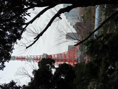 IMG_20210308_153916.jpg