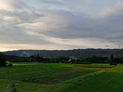 IMG_20220813_173616.jpg