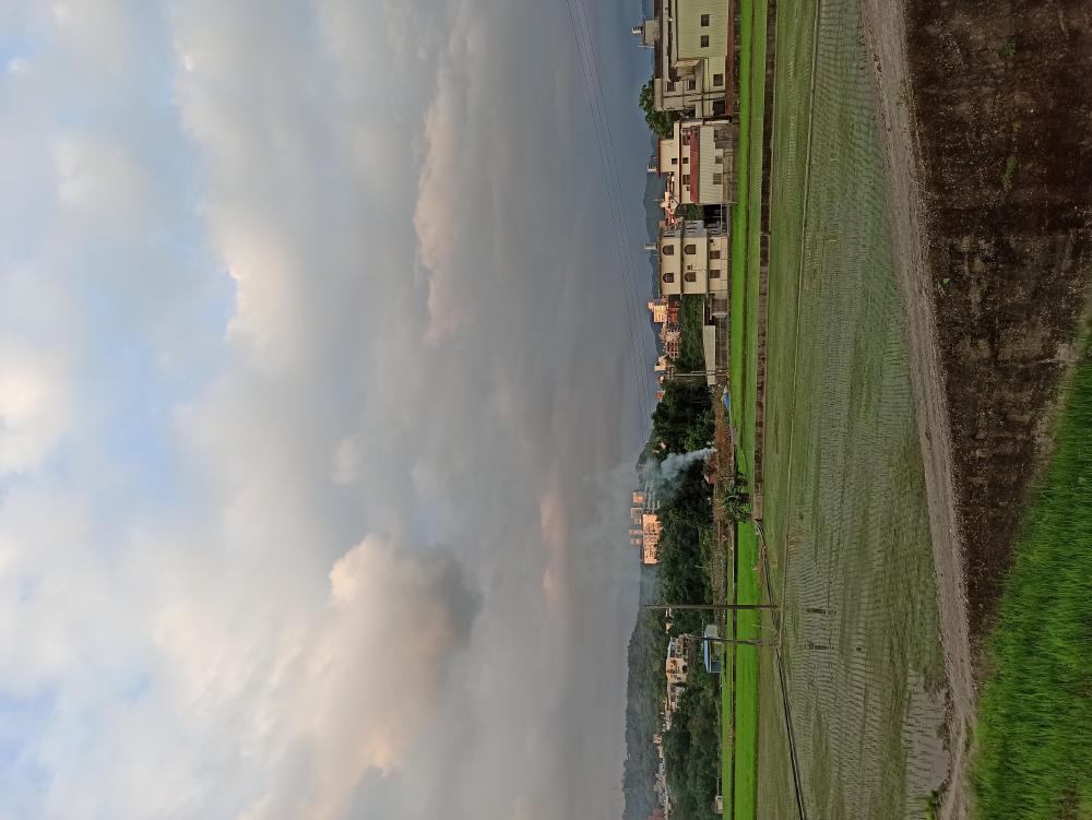 IMG_20220813_180725.jpg
