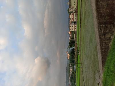 IMG_20220813_180725.jpg