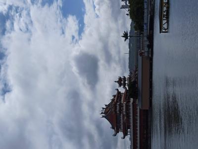 IMG_20221008_134235.jpg
