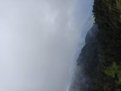 IMG_20221014_131203.jpg