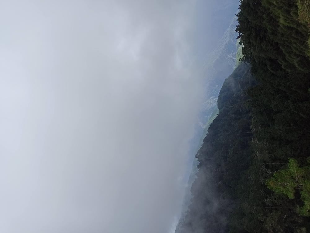 IMG_20221014_131203.jpg