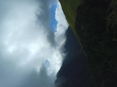 IMG_20221014_135342.jpg