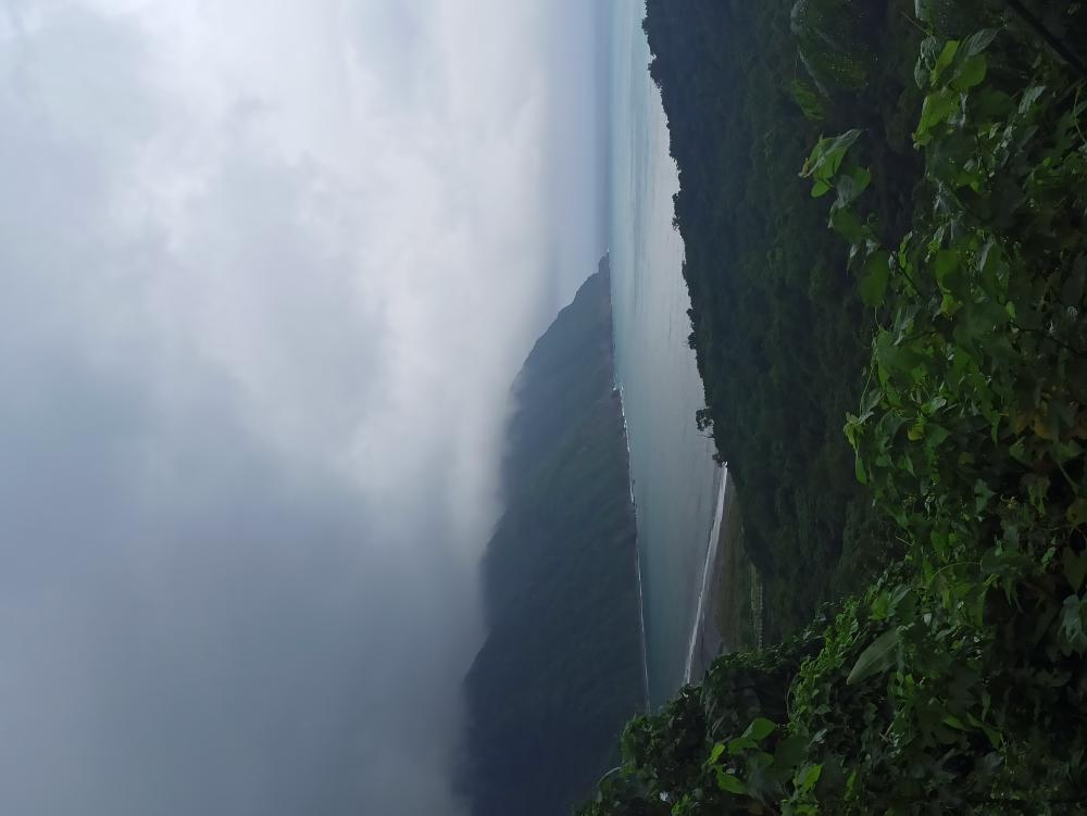 IMG_20221015_144728.jpg