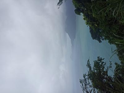IMG_20221015_145822.jpg