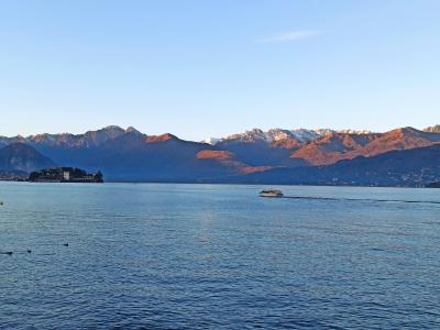 IMG_20240101_162342.jpg