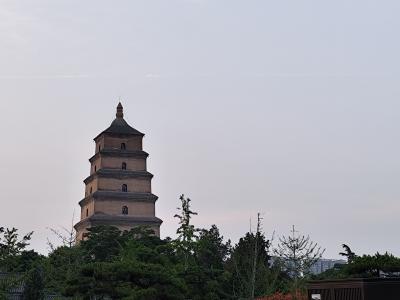 IMG_20240515_192838.jpg